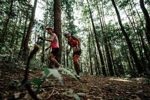 BIB: 
                            <button type="button" onclick="openModal(25261158)" class="btn btn-primary btn-sm float-right btn-popup" data-toggle="modal" data-target=".modal-high-quality">
                        <i class="fas fa-shopping-cart"></i> Add to Cart
                    </button>
                                            <button type="button" onclick="isThisMe(25261158, true)" class="btn btn-success btn-sm float-right btn-popup btn-isme hidden" data-toggle="tooltip" data-placement="bottom" title="นี่คือรูปของคุณใช่ไหม คลิกที่นี่เพื่อเอาเข้าอัลบั้ม">
                        <i class="fas fa-plus"></i> Add to album
                    </button>
                    <button type="button" onclick="isThisMe(25261158, false)" class="btn btn-warning btn-sm float-right btn-popup btn-isnotme hidden">
                        <i class="fas fa-ban"></i> Remove from album
                    </button>